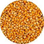 ذرت مخصوص پاکرن ۵۰۰ گرمی
