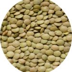 عدس پلویی کانادایی