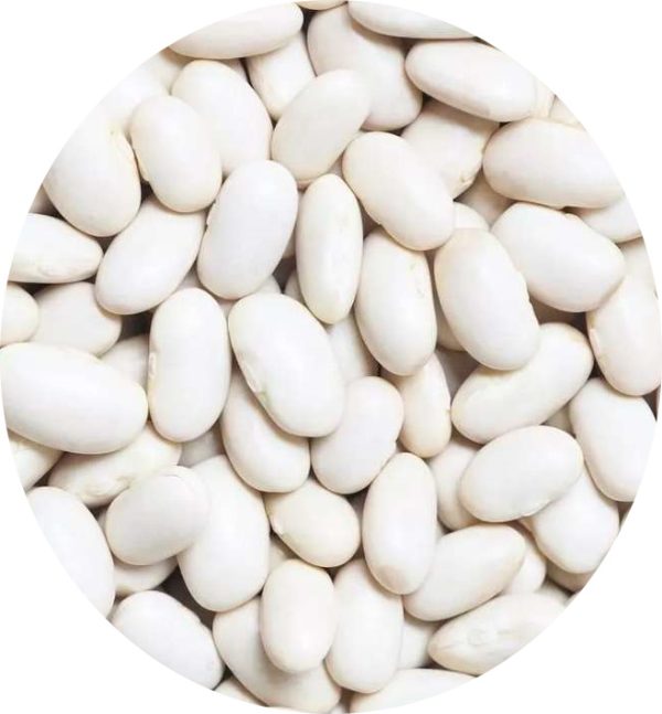 لوبیا سفید یک کیلویی