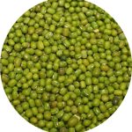 ماش خارجی وزن یک کیلو گرم
